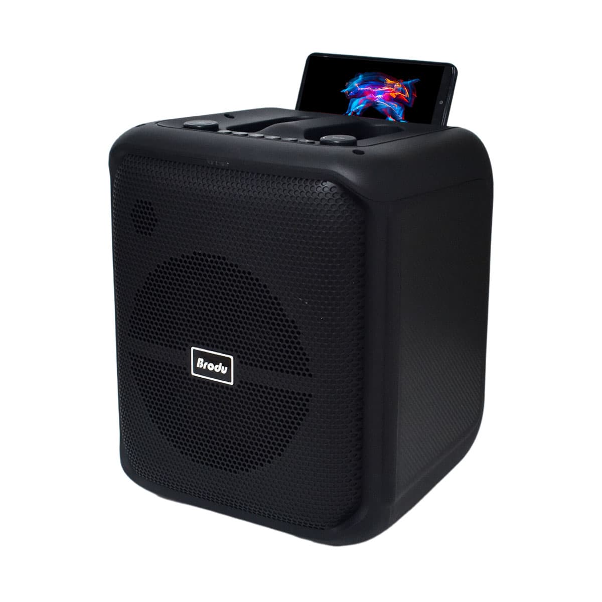 בידורית 8" עם מיק`אלחוטי ומיק' חוטי BRODU BTS-1740 - 45W