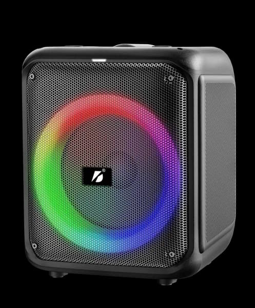 בידורית 10" 2X עם 2 מיק` אלחוטיים BRODU BTS-2100 220W